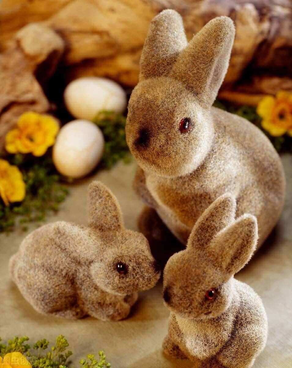 兔子是素食动物，它以吃草为主，兔子能吃菠菜吗
