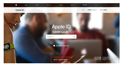 苹果id忘记密码怎么办手机（iphone手机的id密码忘了解决方法）