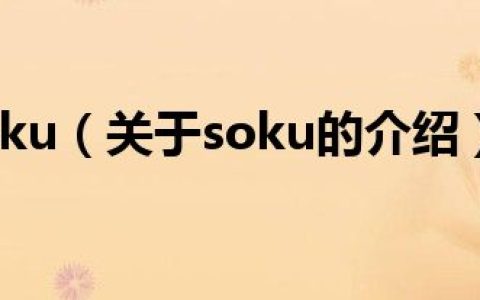 soku（关于soku的介绍）