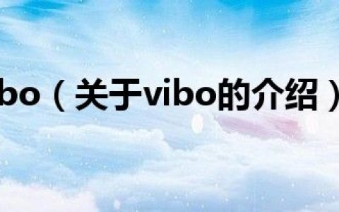 vibo（关于vibo的介绍）