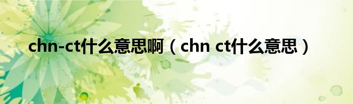 chn-ct什么意思啊（chn ct什么意思）