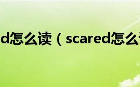 scared怎么读（scared怎么读）