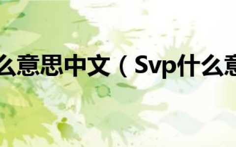 svp什么意思中文（Svp什么意思）