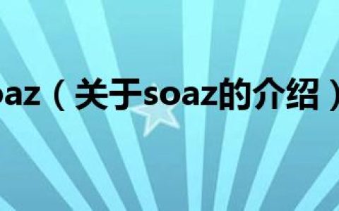 soaz（关于soaz的介绍）