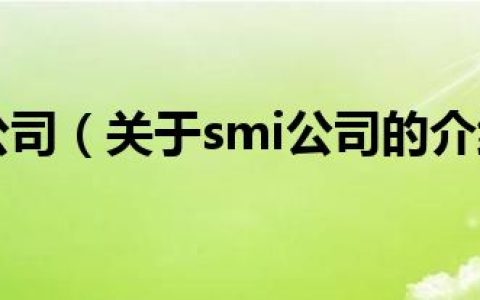 smi公司（关于smi公司的介绍）