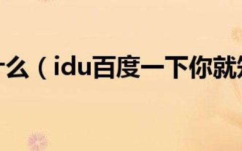 idu是什么（idu百度一下你就知道）