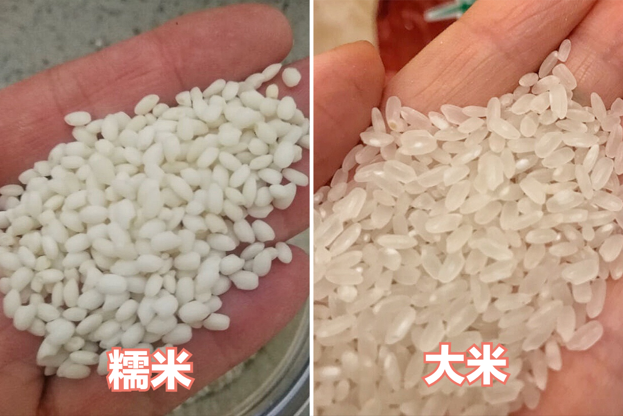 怎么区别糯米和大米（糯米和大米的区别在哪教你分辨）
