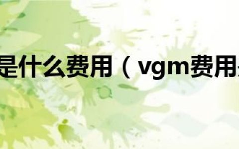 vgm费用是什么费用（vgm费用是什么费用）