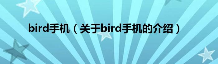 bird手机（关于bird手机的介绍）