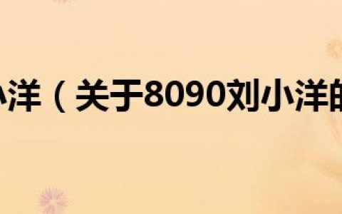 8090刘小洋（关于8090刘小洋的介绍）