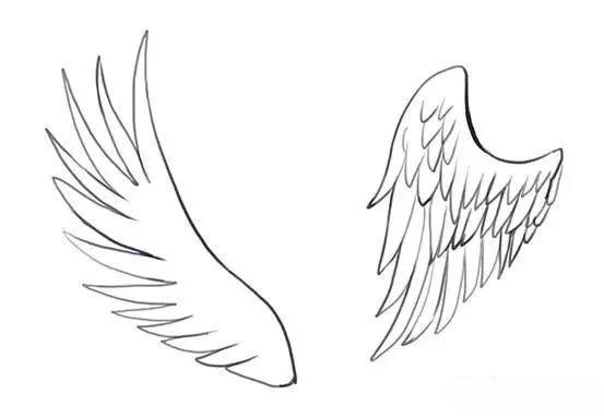 如何画翅膀（如何画翅膀详细教程图片）