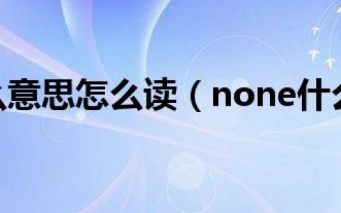 none什么意思怎么读（none什么意思）