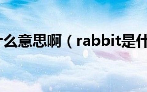 rabbit是什么意思啊（rabbit是什么意思）