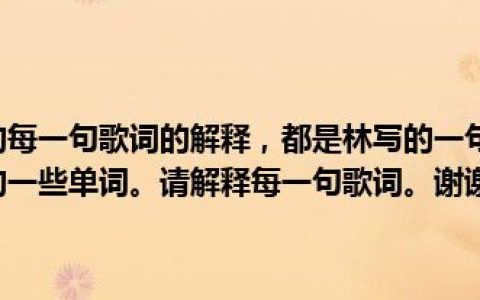 今日对《宏愿》的每一句歌词的解释，都是林写的一句话。我爱它，但我不明白粤语中的一些单词。请解释每一句歌词。谢谢你。