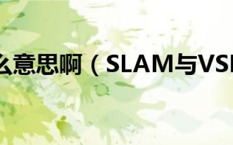 slam是什么意思啊（SLAM与VSLAM有什么区别）