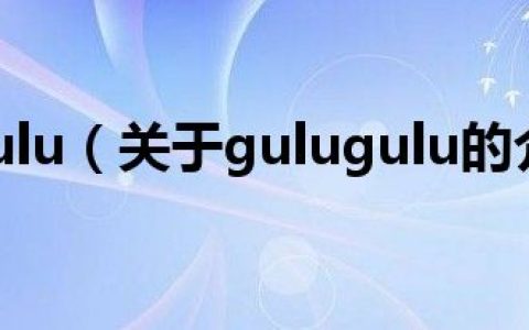 gulugulu（关于gulugulu的介绍）