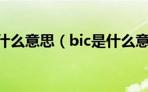 bic是什么意思（bic是什么意思）