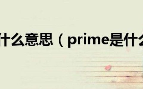 prime是什么意思（prime是什么意思）