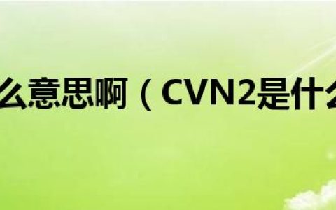 cvn2是什么意思啊（CVN2是什么意思 怎么查）