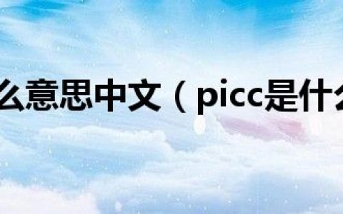 picc是什么意思中文（picc是什么意思）