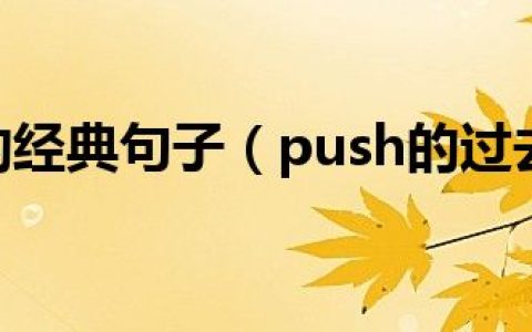 push的经典句子（push的过去式）