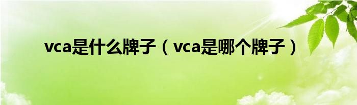 vca是什么牌子（vca是哪个牌子）