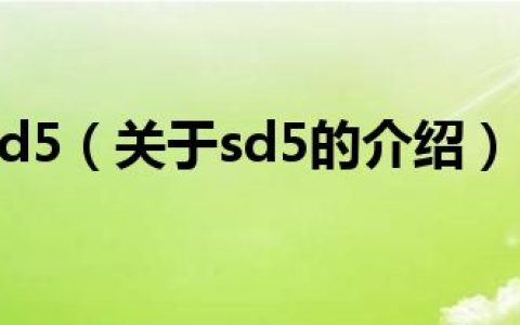 sd5（关于sd5的介绍）