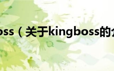 kingboss（关于kingboss的介绍）