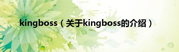 kingboss（关于kingboss的介绍）