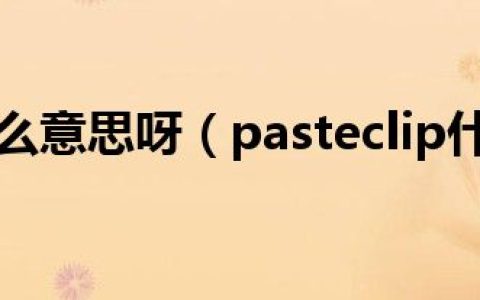 Paste是什么意思呀（pasteclip什么意思）