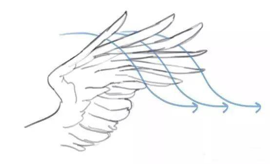 如何画翅膀（如何画翅膀详细教程图片）