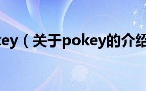 pokey（关于pokey的介绍）