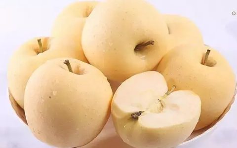 黄金奶油苹果特点（黄金奶油苹果的功效与作用是什么）