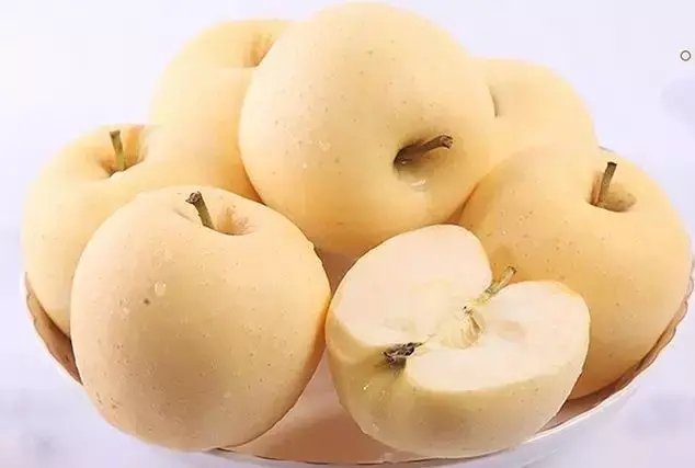黄金奶油苹果特点（黄金奶油苹果的功效与作用是什么）
