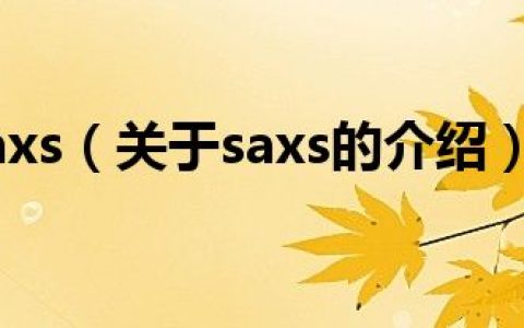 saxs（关于saxs的介绍）