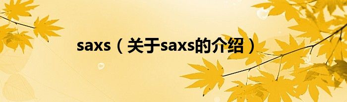 saxs（关于saxs的介绍）