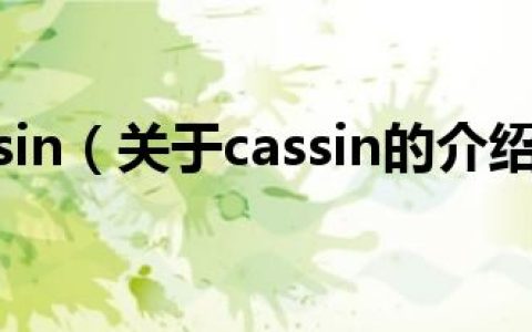cassin（关于cassin的介绍）