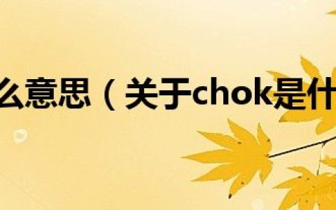 chok是什么意思（关于chok是什么意思的介绍）