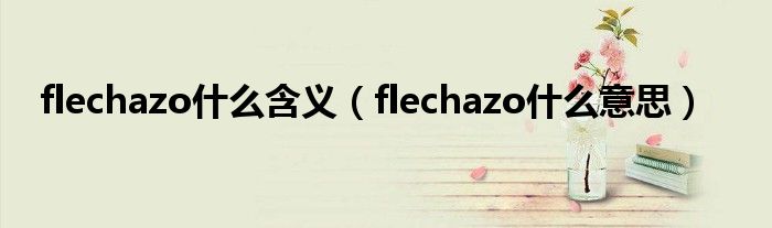 flechazo什么含义（flechazo什么意思）