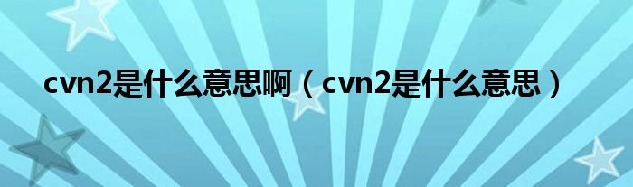 cvn2是什么意思啊（cvn2是什么意思）